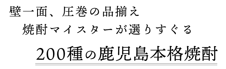 壁一面、圧巻の品揃え